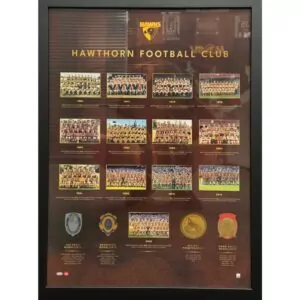 Hawthorn Hawks Historical Series Print