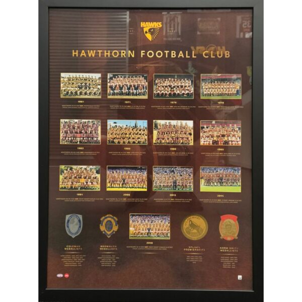 Hawthorn Hawks Historical Series Print