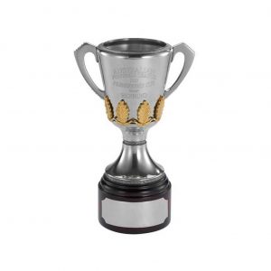 Richmond 2019 Replica Premiers Cup