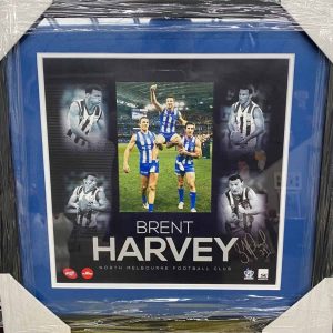 Harvey Signed 427 Game Collage