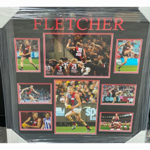 Dustin Fletcher Signed Career Collage