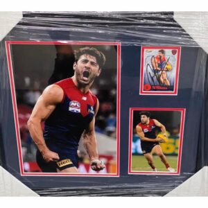 Christian Petracca Signed Collage