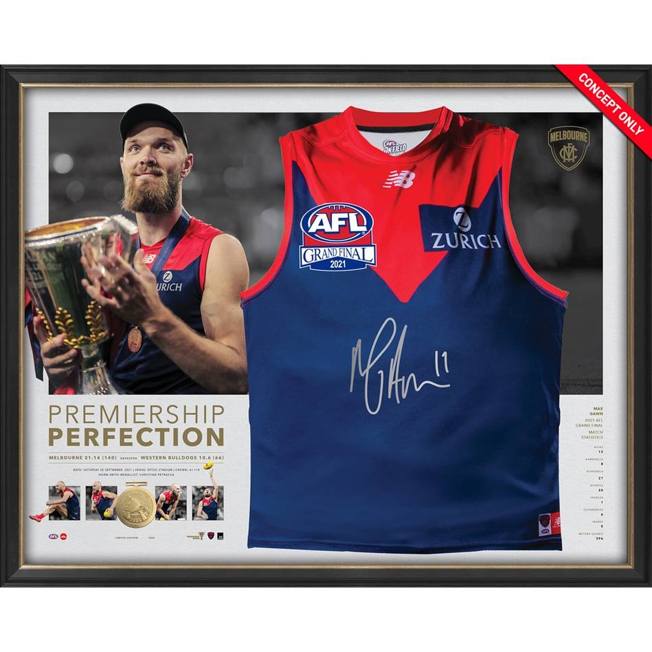 Melbourne best sale demons jumper