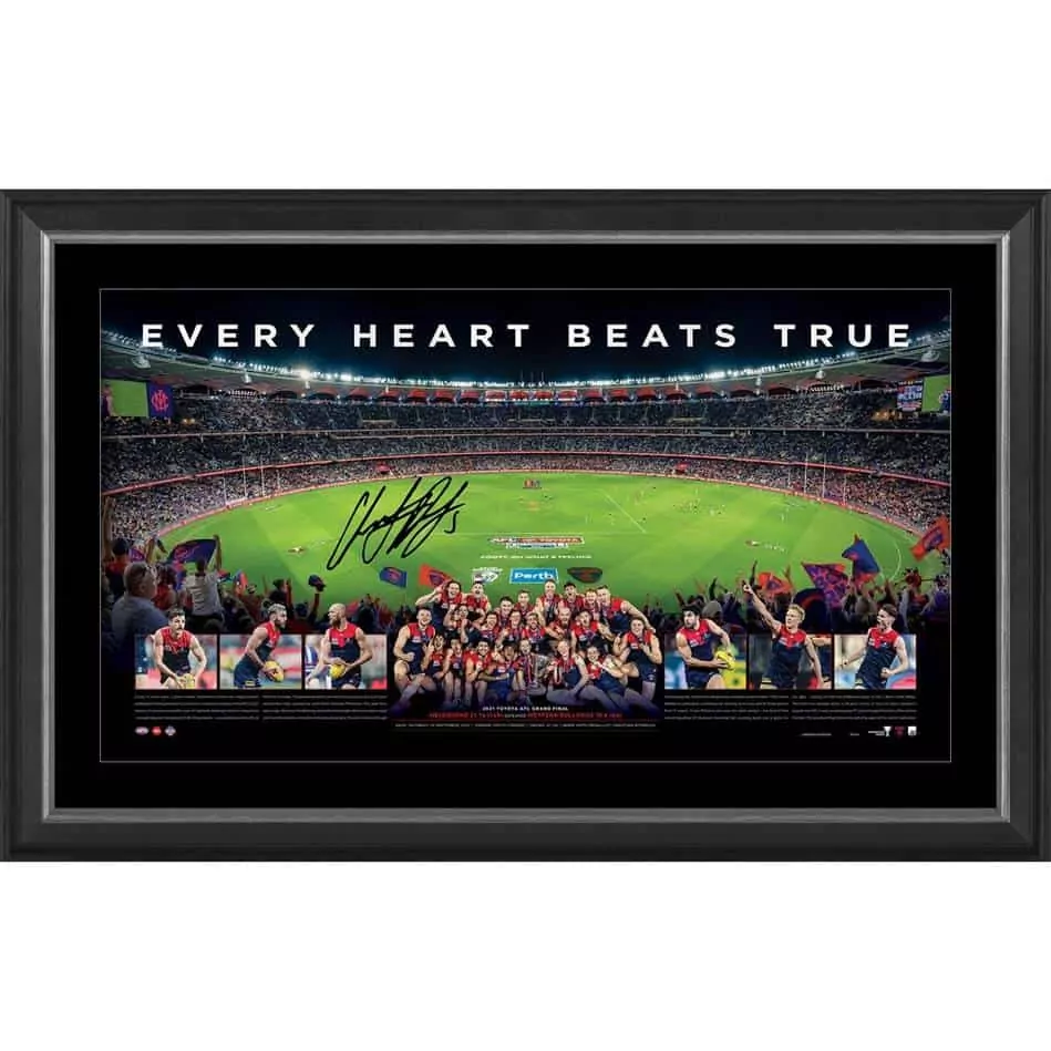 Melbourne Premiership Signed Panoramic