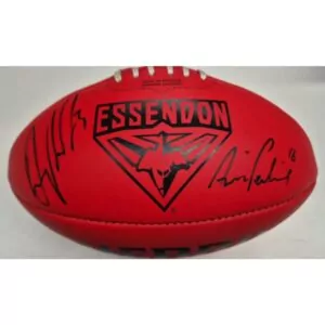 Essendon Darcy Parish & Archie Perkins Signed Sherrin Football
