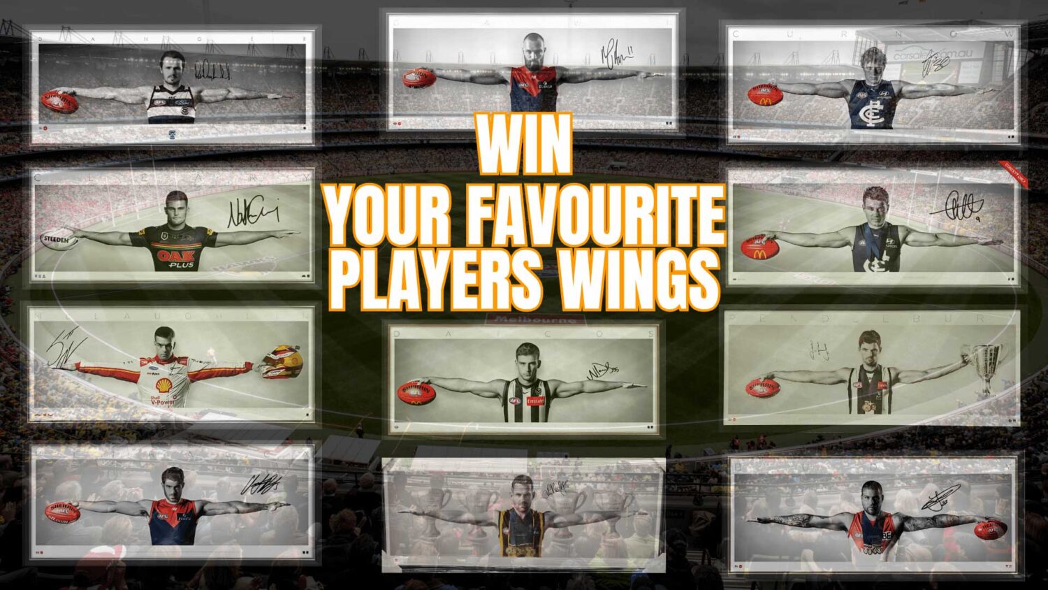 Wings-Competition