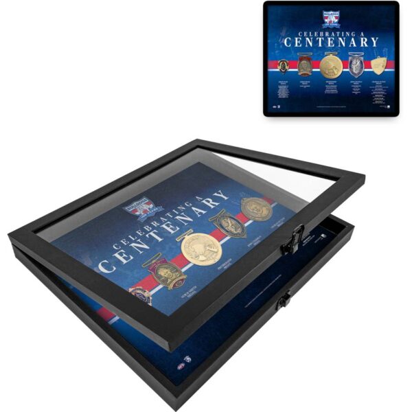 Western Bulldogs Boxed Decorations of Distinction
